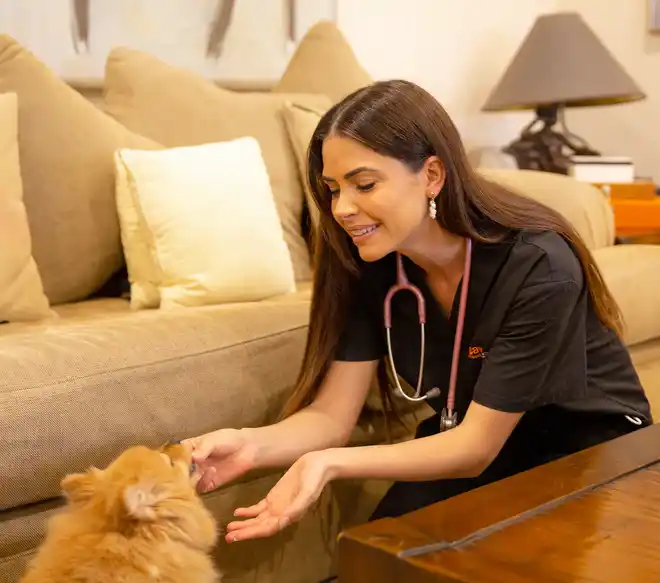 Dr. Lisa