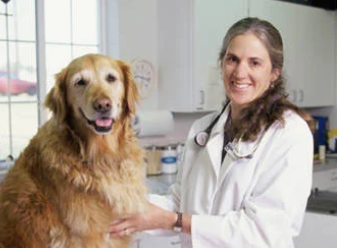 Dr. Chris Reardon
