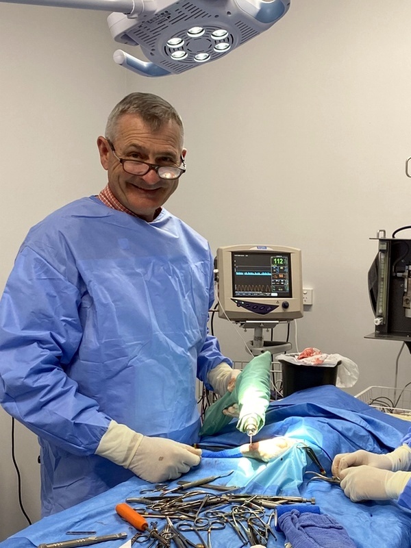 Dr.  David Swan
