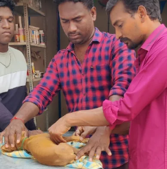 Dr. Karthik