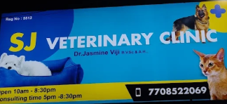 Dr. Jasmine viji