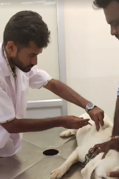 Dr. Nagulsamy
