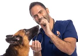 Dr. Sherif