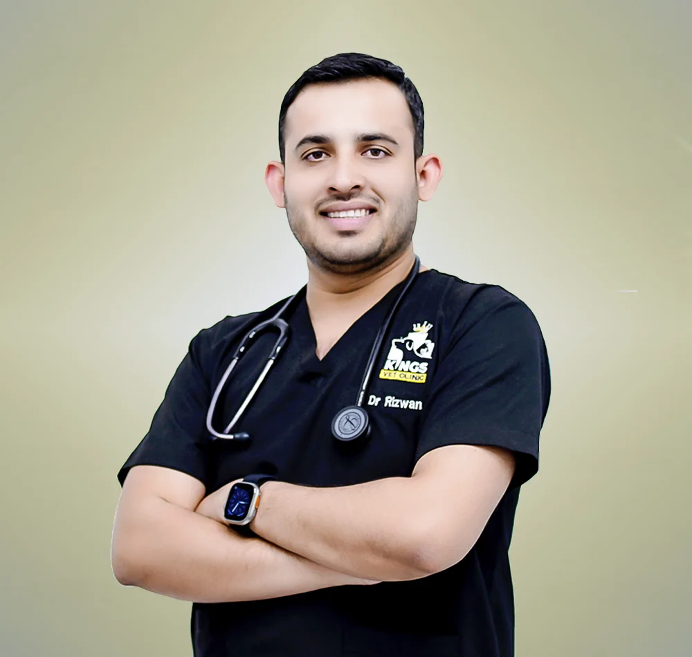 Dr. Rizwan Malik