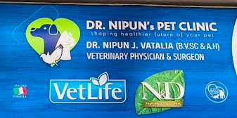 Dr Nipun Vataliya