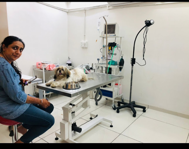 Dr Greeshma Patel