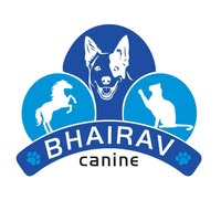 Vaibhav Dave