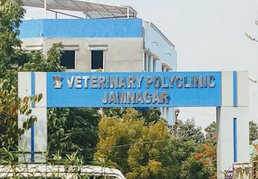 Dr. Anil Virani