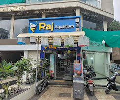 Mr. Rajbhai