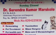 Dr. Surendra kumar marskole