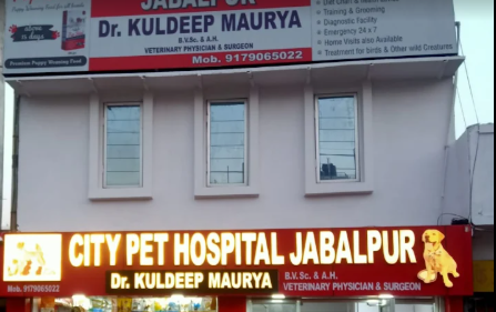 Dr. Kuldeep Maurya