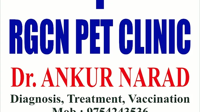 Dr. Ankur Narad