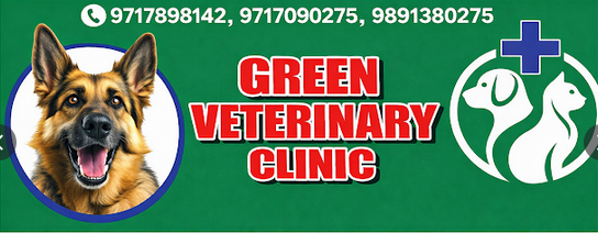 Dr. Arvind