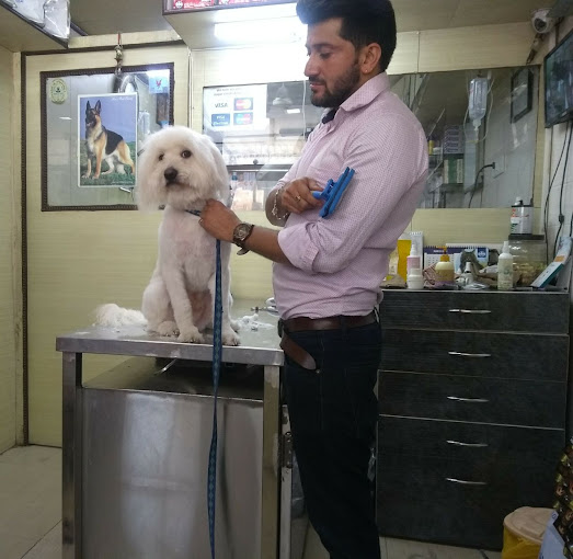 Dr. Ankush Maini & Team