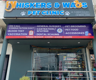 Dr Tejinder