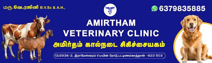 Dr. V. Rajini