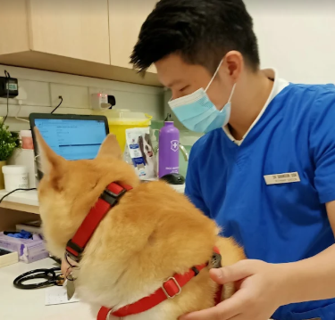 Dr. Robin Au
