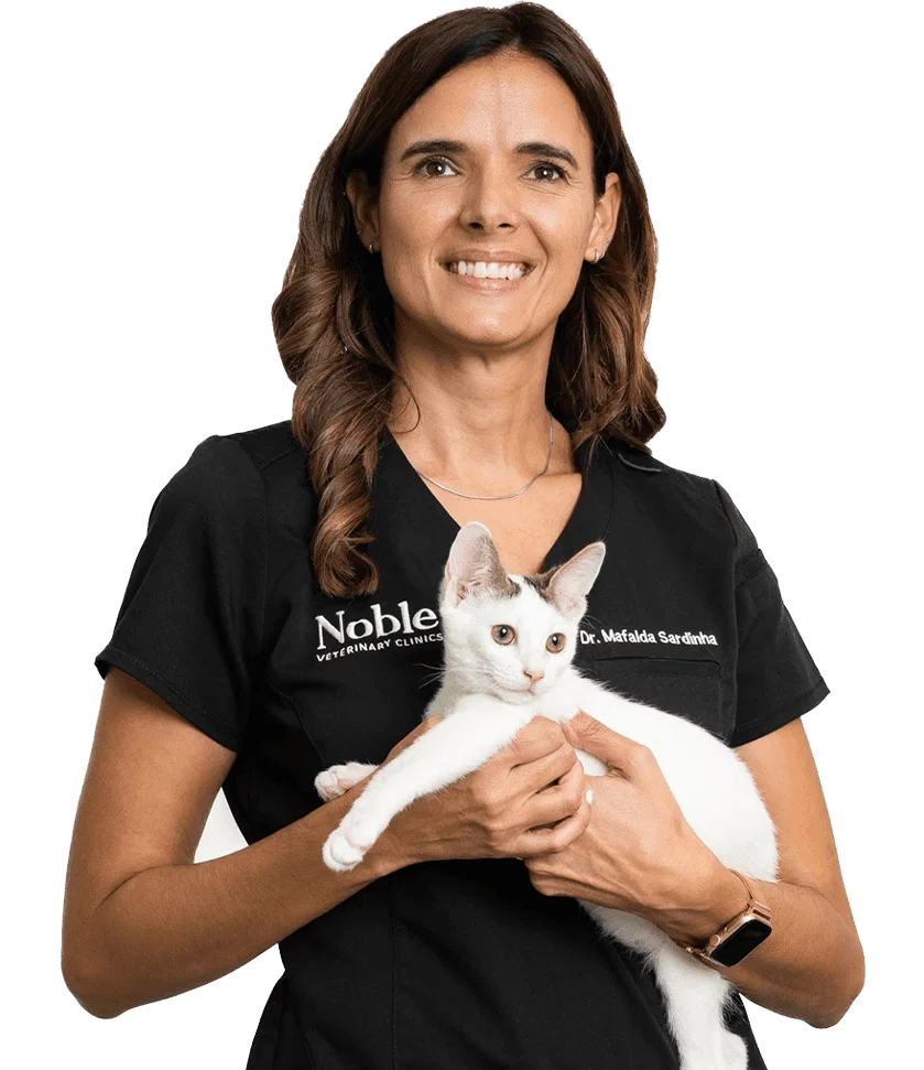 Dr. Mafalda Sardinha