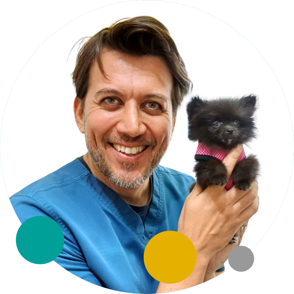 Dr. Vito Castellana