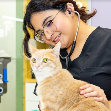 Dr. Cheri Honnas
