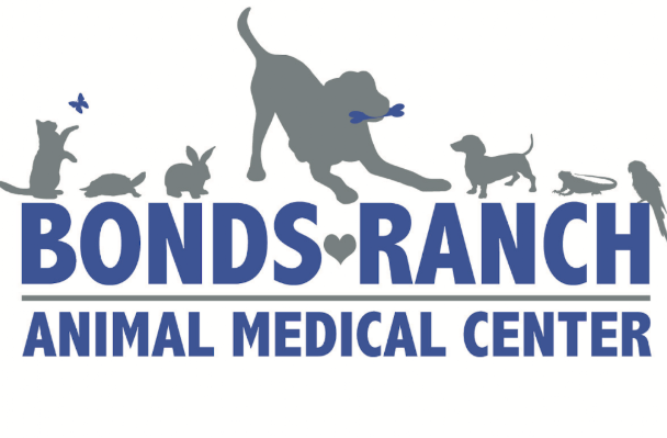 Dr. Jared Nichols