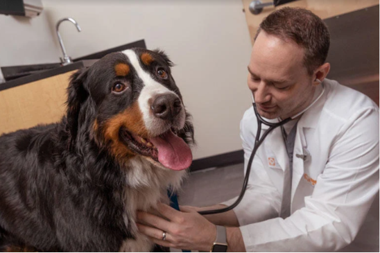 Dr. Moore