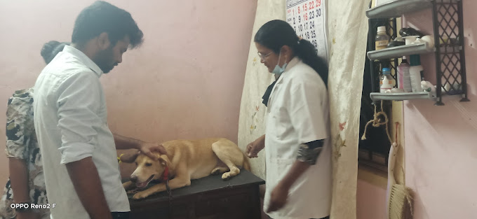 Dr Pushpalatha
