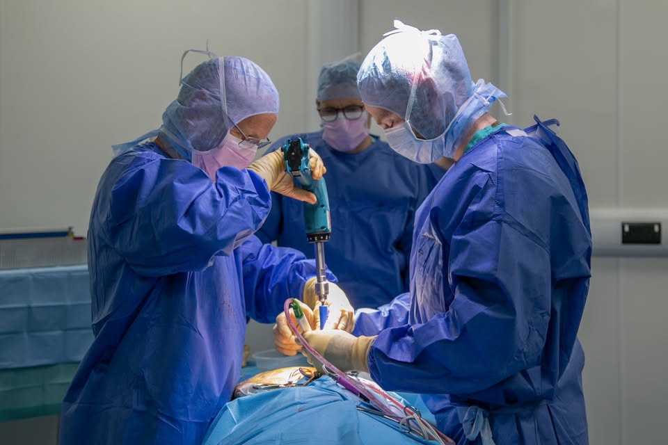 Dr. Rebecca