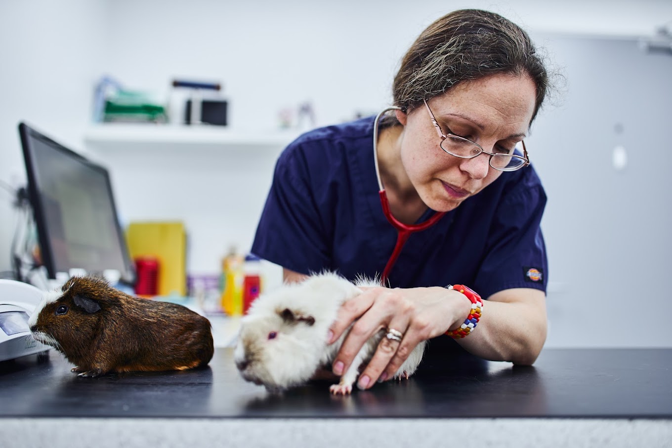 Dr. Yvette Rowntree