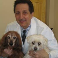 Dr. Joseph Michael D'Agnese