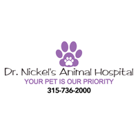 Dr. David Nickel