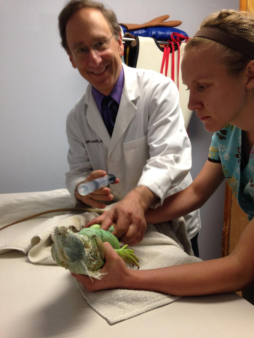 Dr. David Halpern