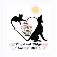 Dr. Jennifer Hostetler