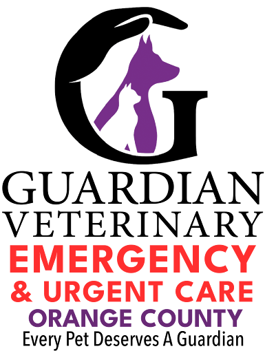 Dr. Suzanne Ursitti