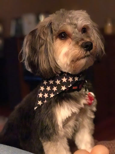 Dr. Bill