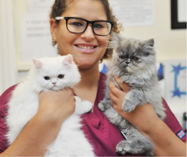 Dr.Jennie