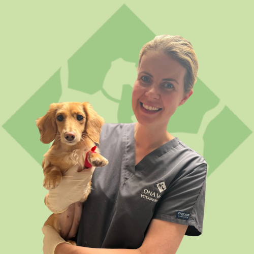 Dr. Mary Louise
