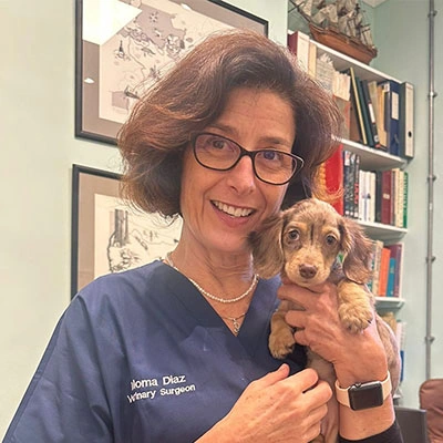 Dr. Paloma Diaz Carretero