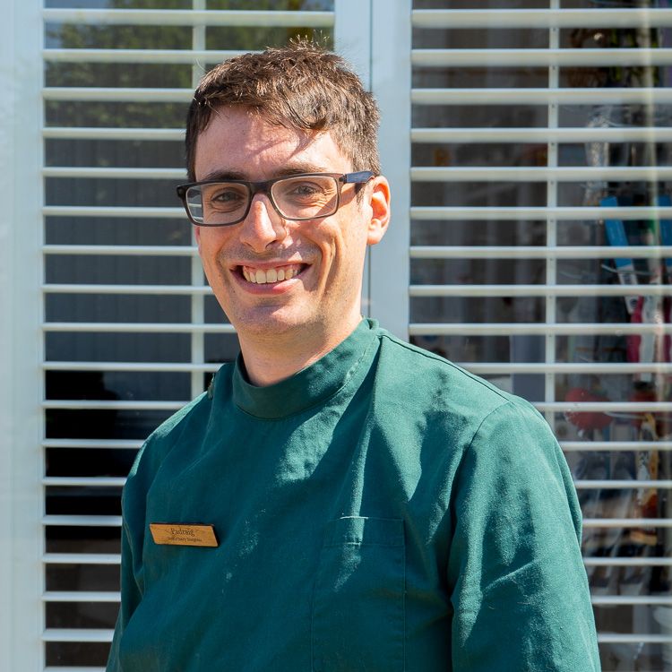 Dr. Padraig