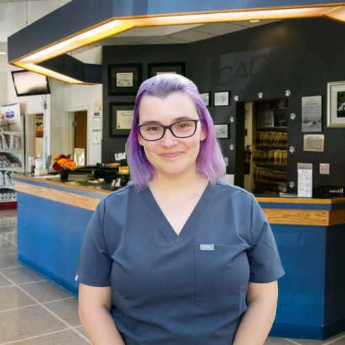 Dr. Catarina Steele, DVM