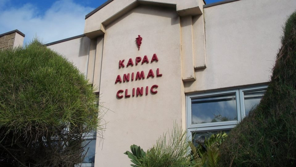 Dr. Kapaa Animal