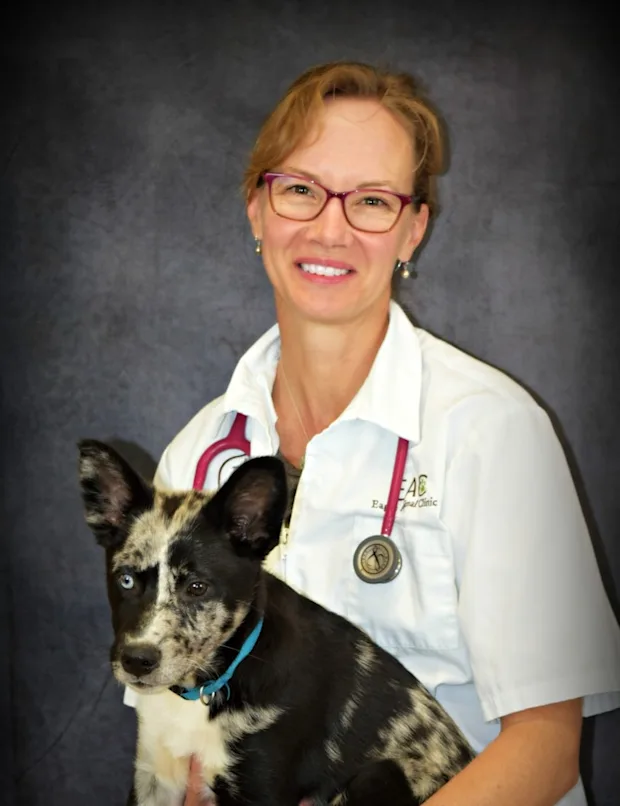 Dr. Katie Wright