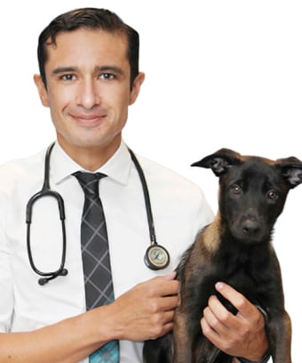 Dr. Sebastian Mejia