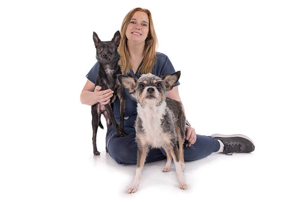 Dr. Taylor Vance