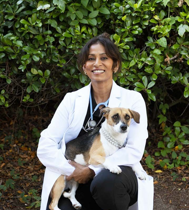Dr. Vidhya Pandi