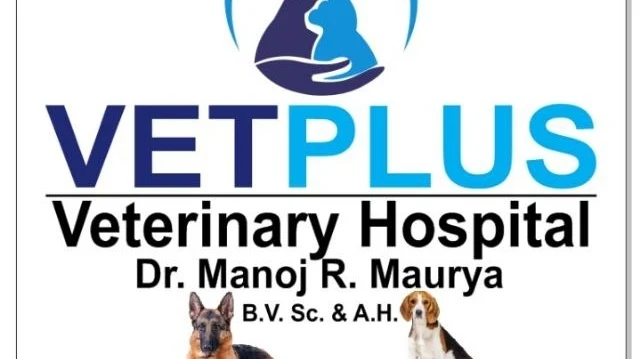 Dr. Manoj kumar Maurya