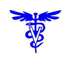 Dr. S. Bharath Jothi